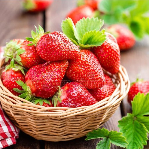 Hạt giống dâu tây đỏ Strawberry quả to, trĩu quả, vị ngọt thanh mát gói 100 hạt