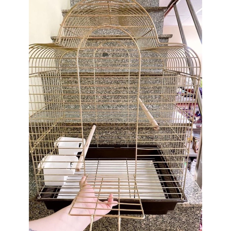 Lồng nuôi vẹt size trung