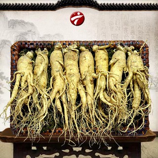 Nhân Sâm Tươi Hàn Quốc 8 củ/kg