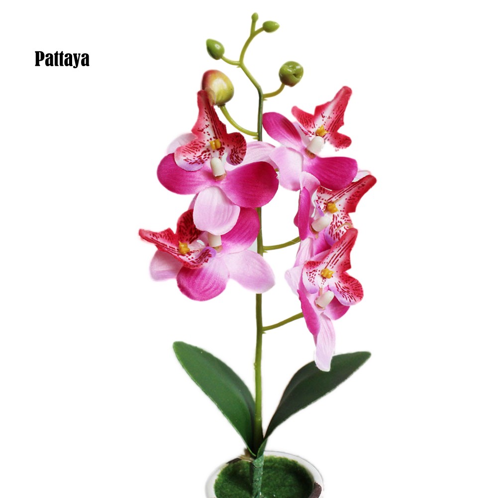 1 Cành Hoa Lan Giả Bằng Nhựa Dùng Trang Trí