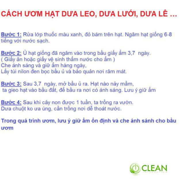 Hạt giống cây Dưa lê vàng Hàn Quốc (10 hạt)