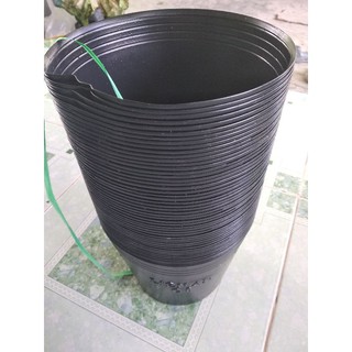 chậu nhựa size 8,