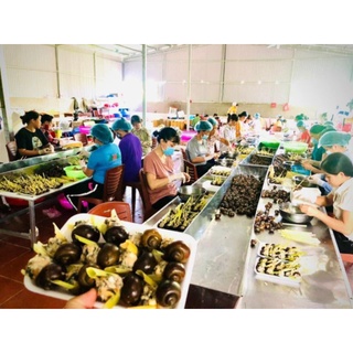 ỐC NHỒI THỊT Khay 12 con