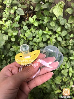 Ty ngậm Dolphin