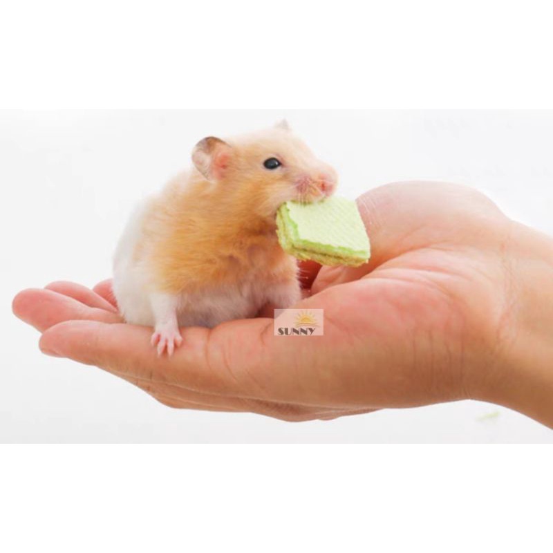 Bánh xốp sữa trái cây cho hamster, thỏ, sóc, bọ