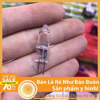 Bóng đèn halogen 12v 25w