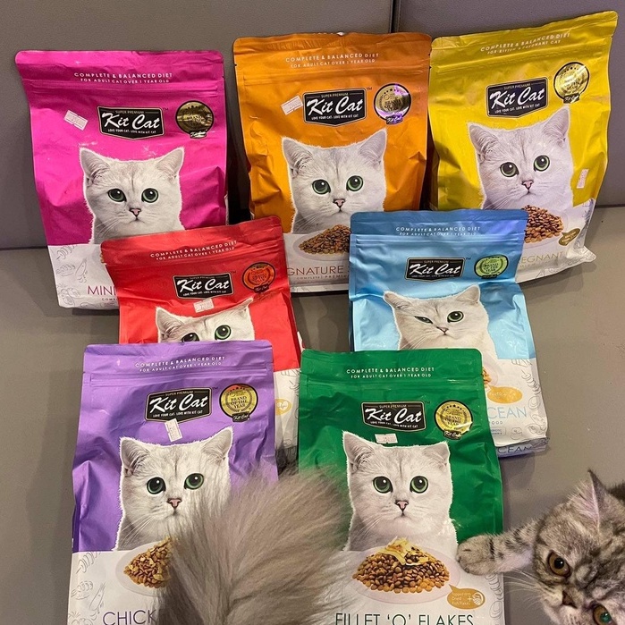 hạt Kit Cat Adult có topping thịt bên trong - Thức ăn hạt khô cho mèo trưởng thành trên 1 năm tuổi