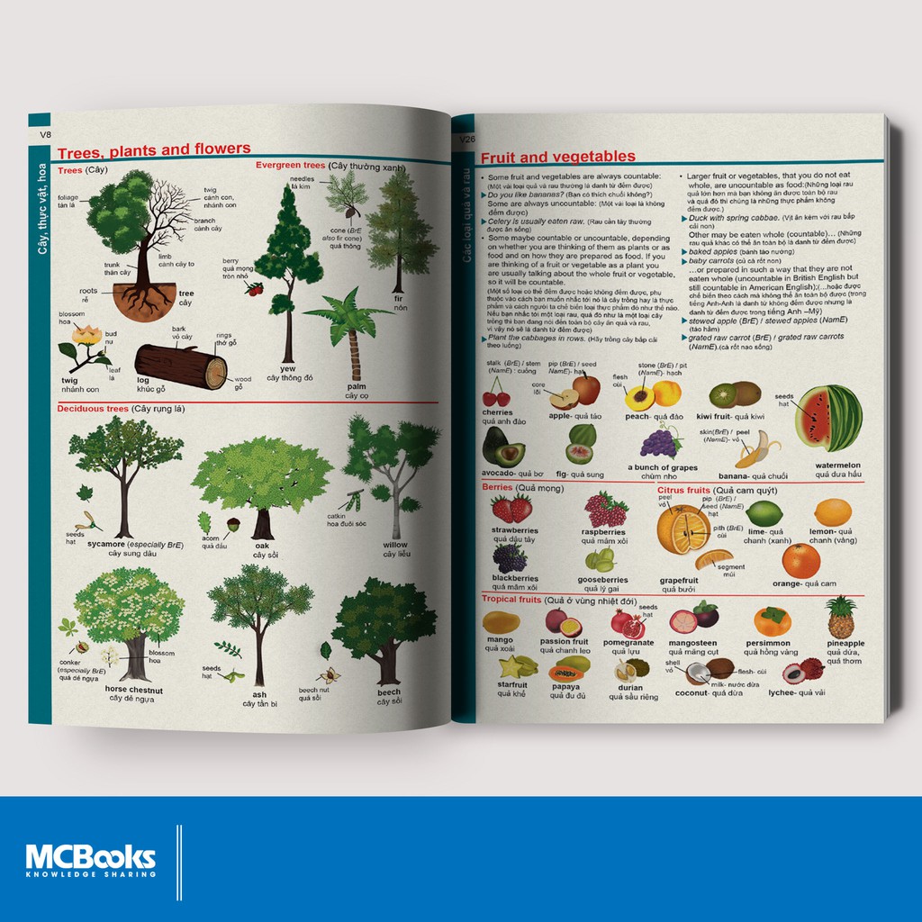 [LIFEMALL9915 - 12% đơn 99K] Sách - Từ điển Anh-Anh-Việt dành cho học sinh (Tái bản 2020) - MCBooks