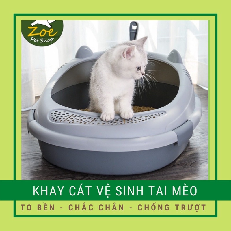 Khay Vệ Sinh Cho Mèo, Thau Cát, Chậu Cát Tai Mèo Siêu To - Kèm Xẻng  | To Bền - Dày Đẹp - Chắc Chắn