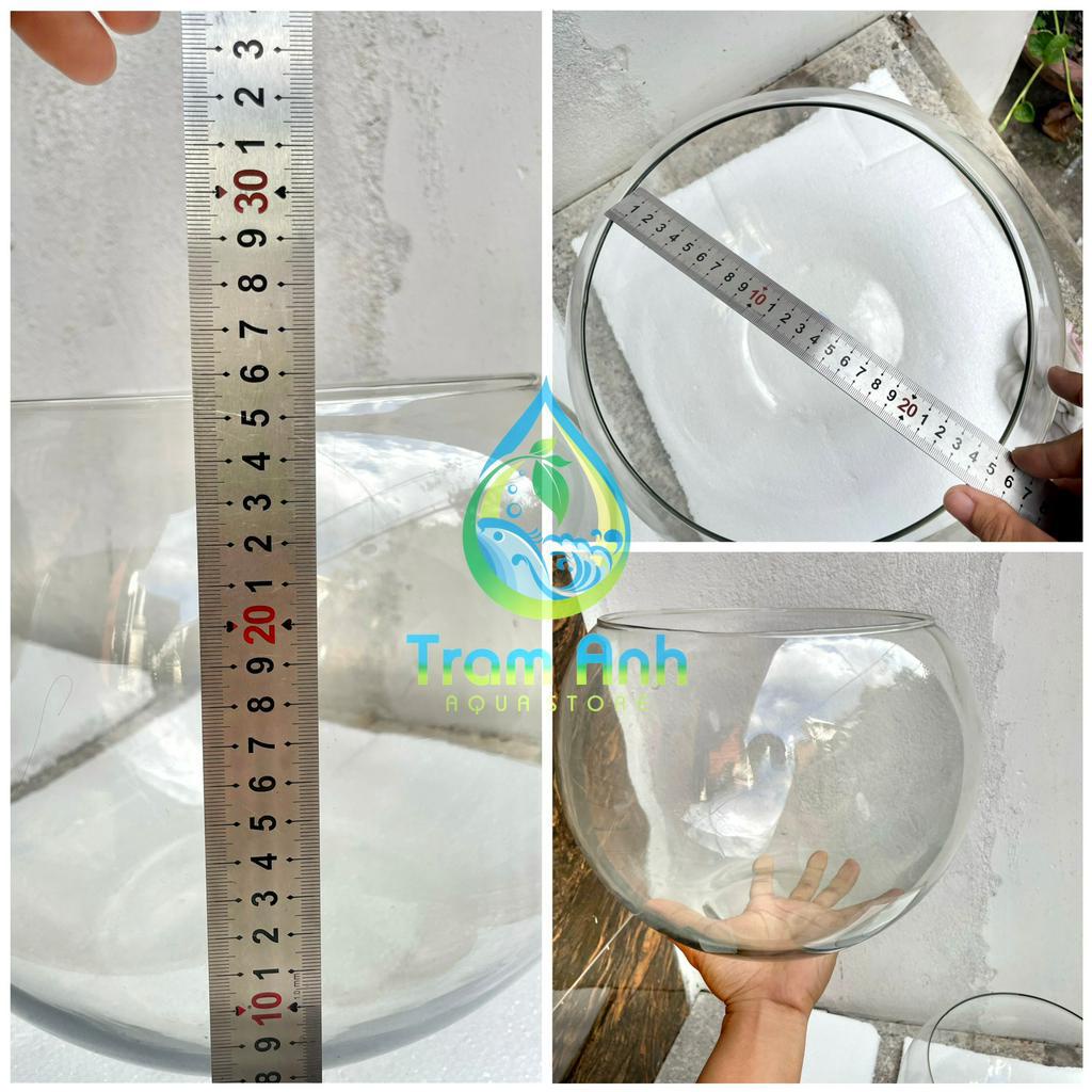 (CHỈ GIAO HỎA TỐC ) Bể thủy tinh tròn - hồ cá bầu tròn - siêu trong hàng nhập - terrarium - tiểu cảnh để bàn