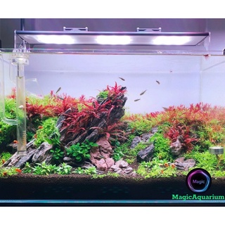 Đèn Thuỷ Sinh WRGB 4in1 - Magic Led Lighting