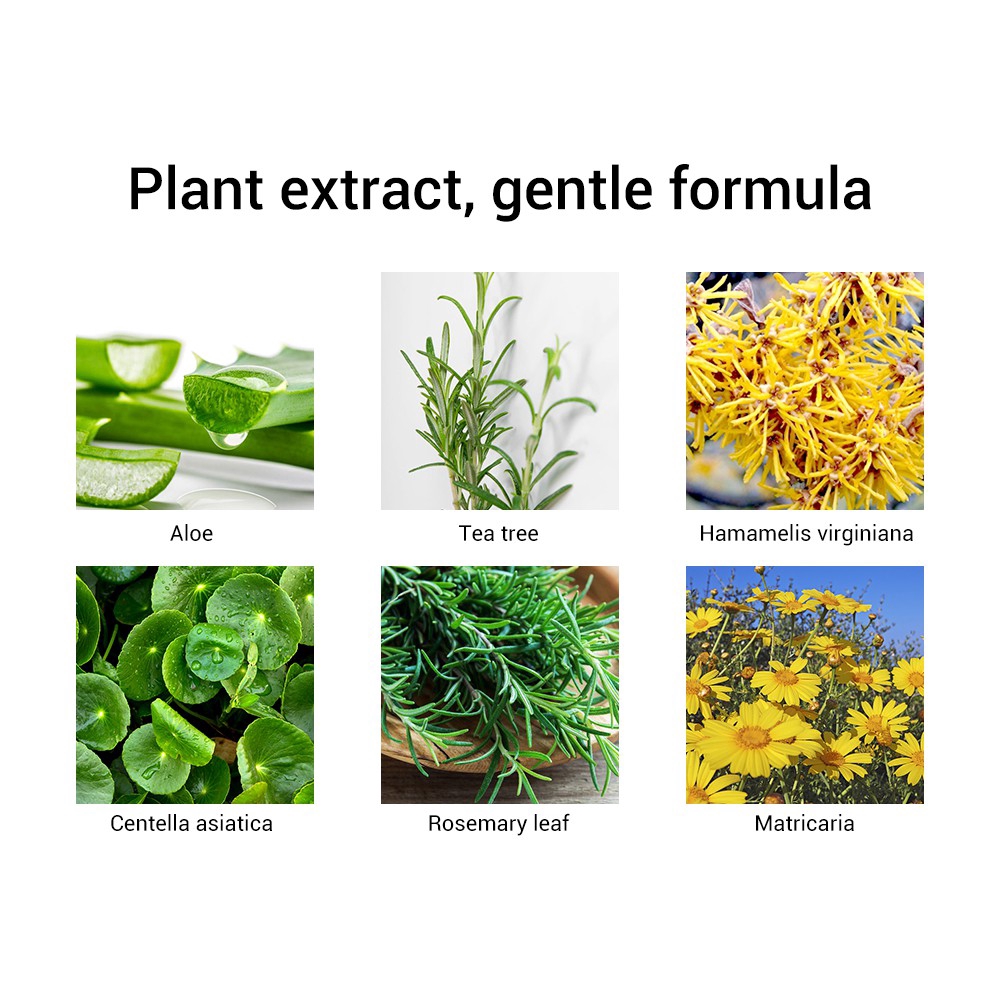 Bộ sản phẩm BREYLEE loại bỏ mụn đầu đen 17ml*2 chất lượng cao | BigBuy360 - bigbuy360.vn