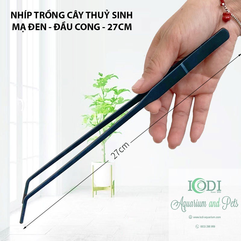 Nhíp trồng cây cho bể thủy sinh