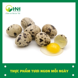 CHỈ GIAO HÀ NỘI Trứng cút trắng 40 quả tươi ngon mỗi ngày - HNH Food Farm