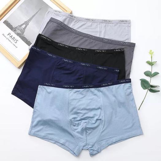 Hộp 5 Quần Lót Boxer Đùi Nam Cotton Siêu Mát Siêu Thấm Hút Hàng Việt Nam Xuất Nhật