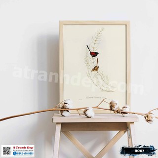 Tranh Canvas minh họa loài chim sẻ nâu phong cách cổ điển - B007