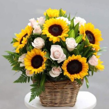 Hạt Giống Hoa Hướng Dương Cắt Cành 1gr