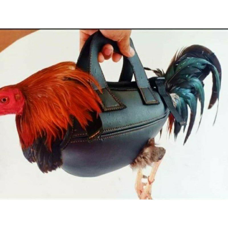 Gà thú bông 3D tập lực cho gà đá🐓