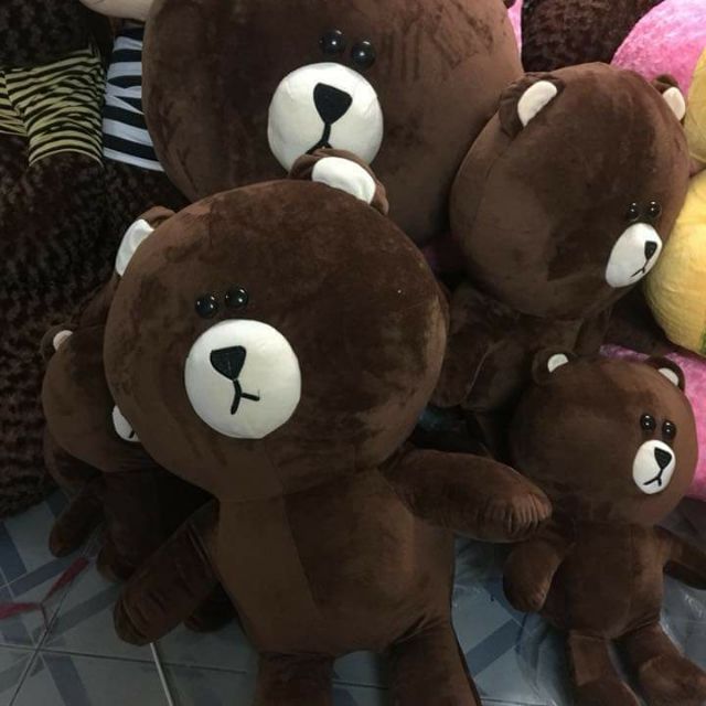 Gấu bông brown