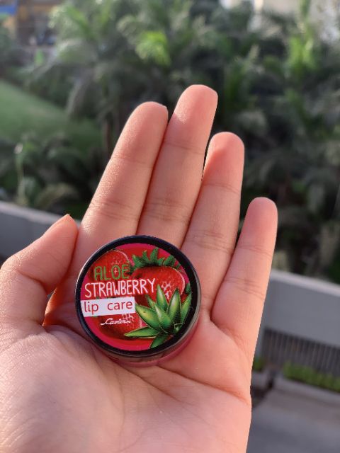 Son Dưỡng Môi Có Màu Nhẹ Tự Nhiên CAVIER Lip Care 7g - Thái Lan