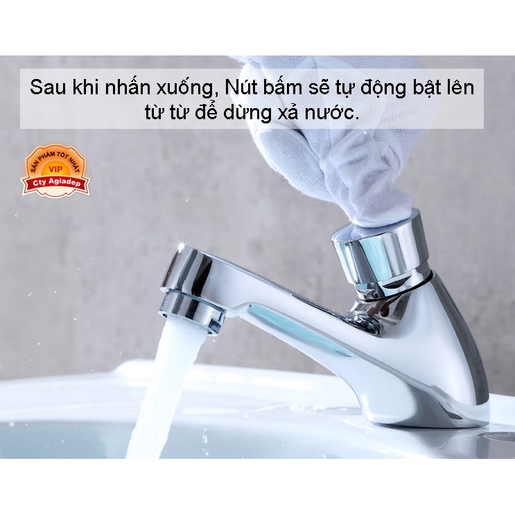 Vòi Lavabo chỉ lạnh tự động ngắt (nút bấm bật lên từ từ dừng xả nước công cộng) + Dây cấp - Hàng xịn