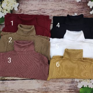 Combo 2 áo len cổ lọ.