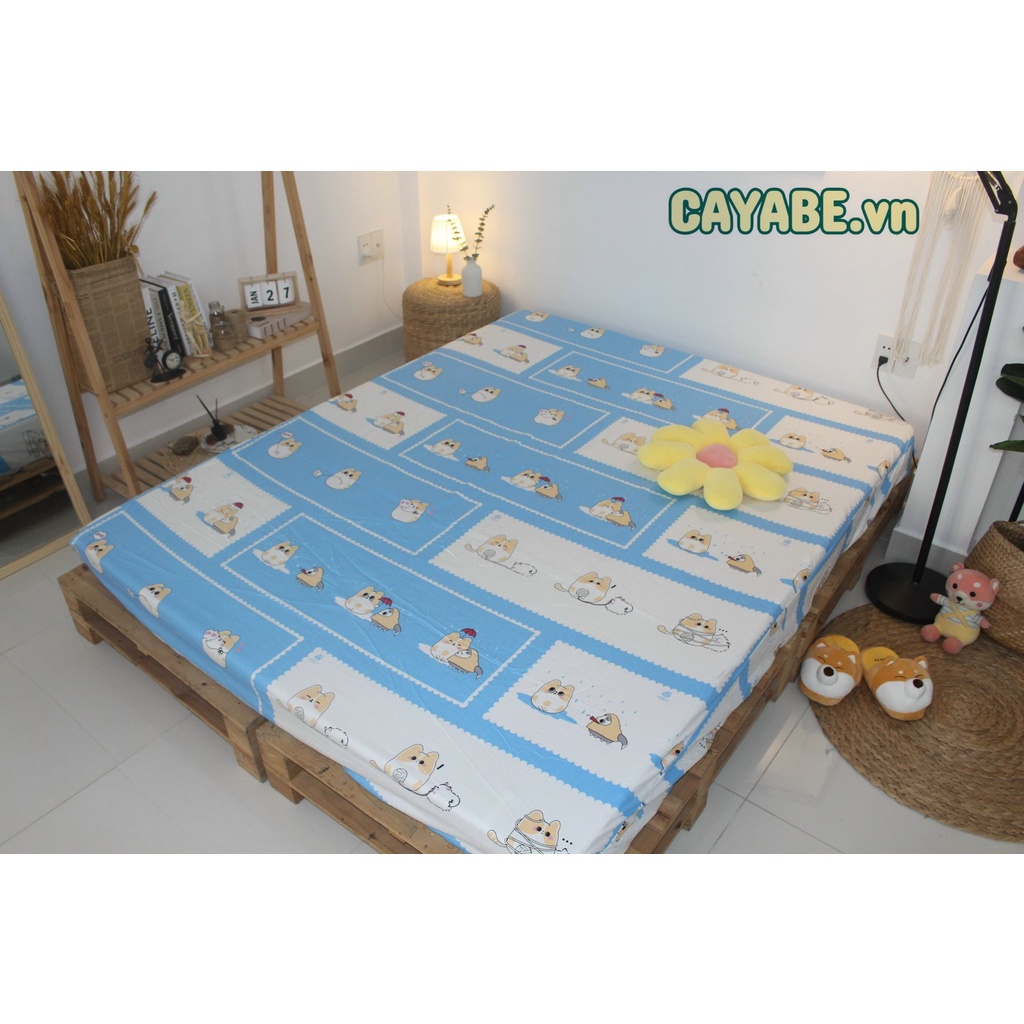 GA CHỐNG THẤM NƯỚC COTTON 5D 2 LỚP CAYABE MÈO TORORO XANH DƯƠNG