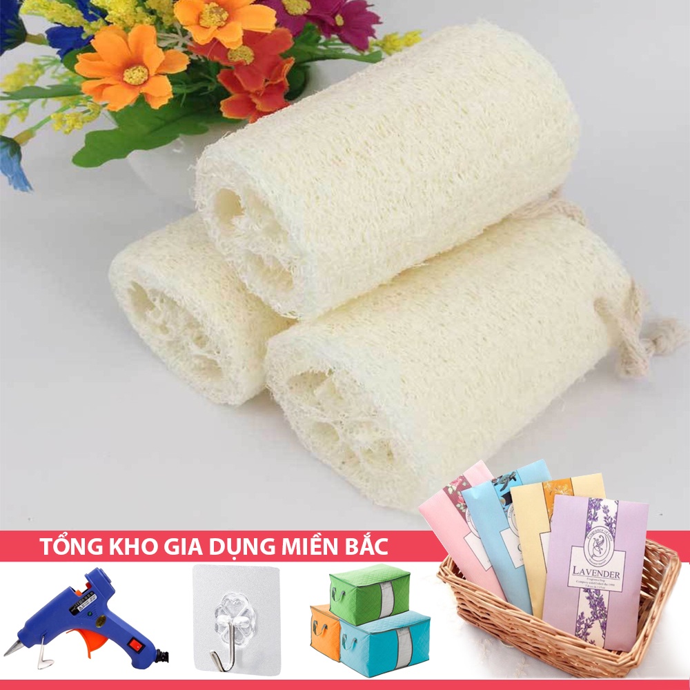 [Tổng Kho Sỉ] Miếng Rửa Bát Ruột Bầu - Xơ Mướp Siêu Tạo Bọt T10 CDS1594