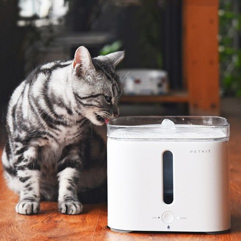 Petkit EVERSWEET 2s - Máy lọc nước cho chó mèo - thú cưng TẶNG KÈM LÕI LỌC