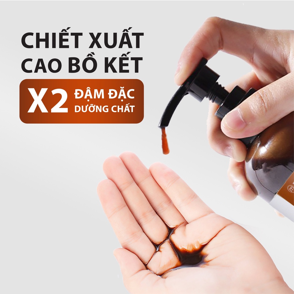 Dầu Gội Thảo Dược Bồ Kết Cô Đặc Làm Đen Tóc, Nấm Ngứa, Ngừa Rụng Tóc MILAGANICS 250ml (Chai)