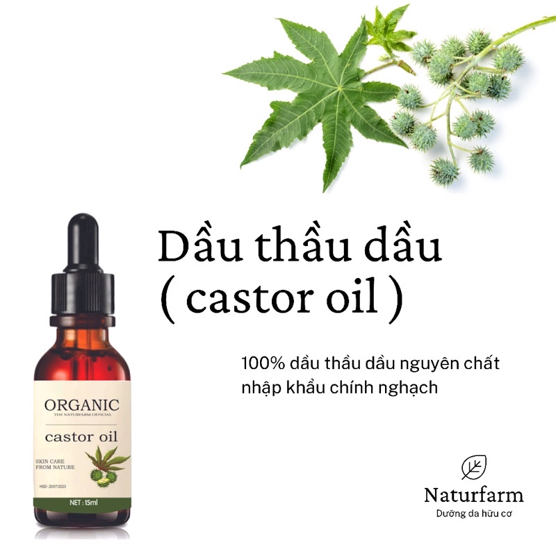 Dầu Thầu Dầu Organic 15ML- Dầu Castor ( Dầu Hải Ly )