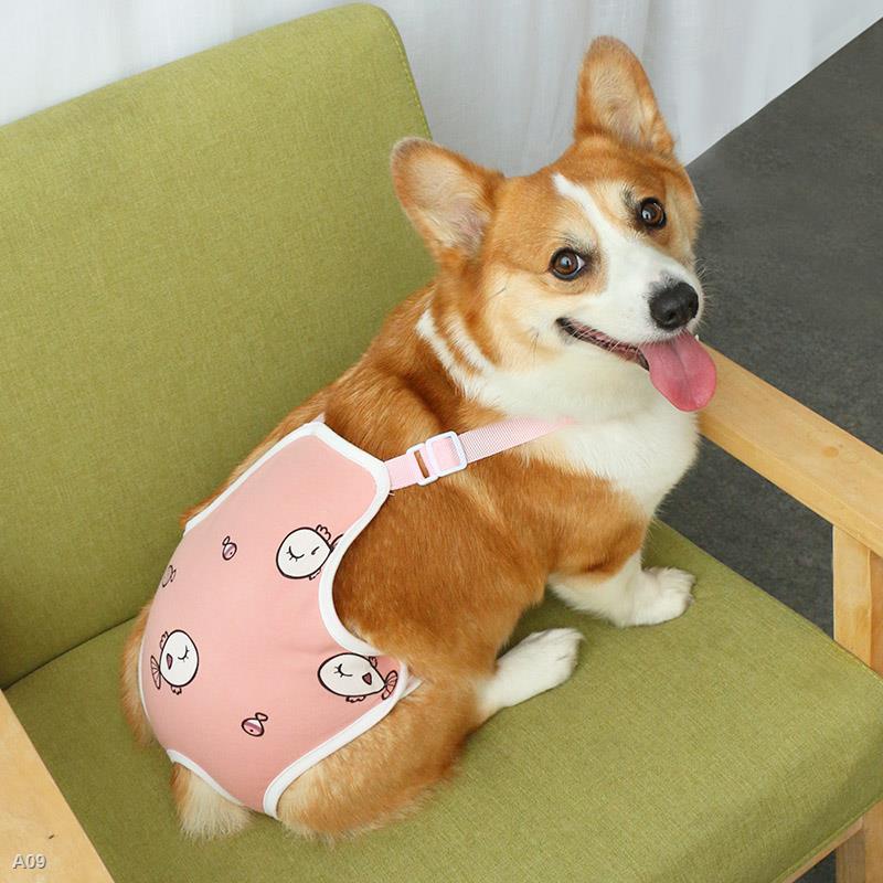 werwer☢▽┇Thú cưng quần sinh lý chó cái chó cái dì quần lớn dì kinh nguyệt corgi teddy đặc biệt chống giao phối tạo tác