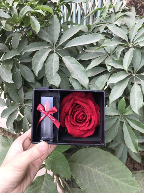 Quà tặng bạn gái - hộp hoa kèm son siêu chanh sả 😍😍😍 | BigBuy360 - bigbuy360.vn