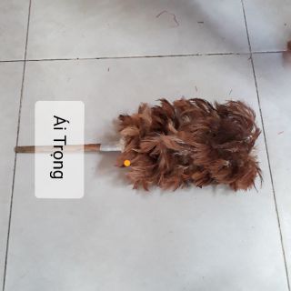 Chổi Lông Gà Giá Rẻ