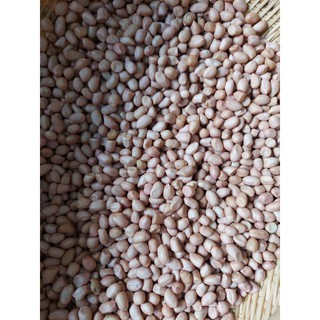ĐẬU PHỘNG /LẠC TƯƠI ( 1kg )
