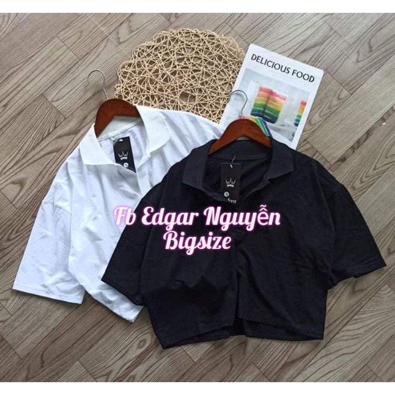 Áo croptop cổ bẻ bigsize