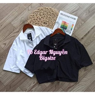Áo croptop cổ bẻ bigsize