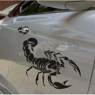 Decal bọ cạp có kích thước 20 cm X 30 cm
