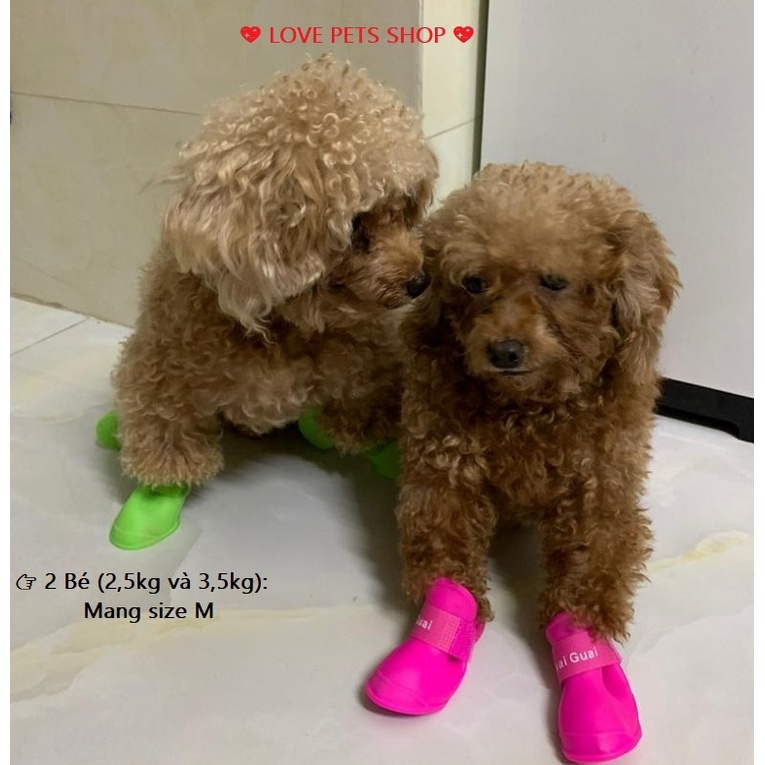 GIÀY ĐI MƯA CHO CHÓ MÈO, ỦNG ĐI MƯA CHO THÚ CƯNG (SET: 4 CHIẾC) - LOVE PETS SHOP