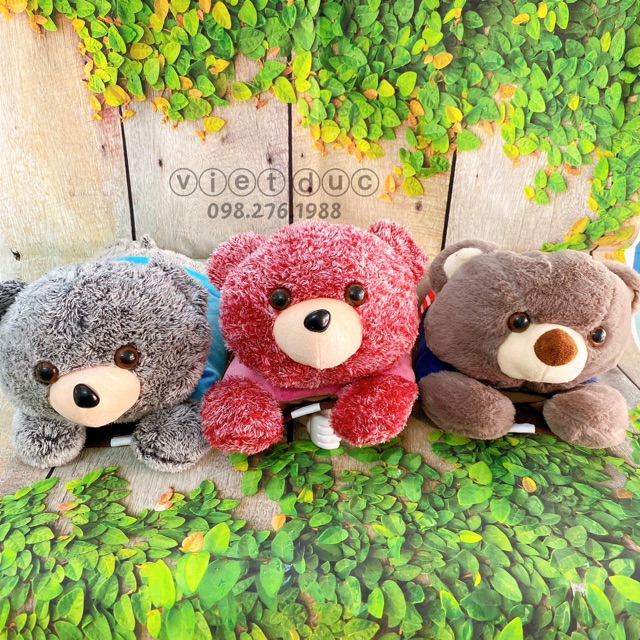 Túi sưởi gấu bông