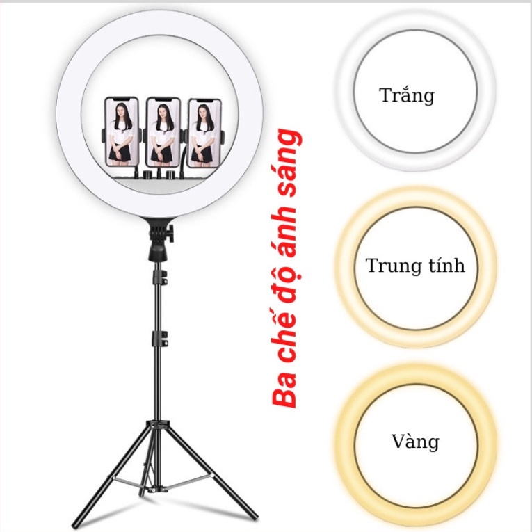 Đèn Livestream RL18 Đường Kính 45cm Livestream Chụp Ảnh, Phun xăm, Spa Cao Cấp