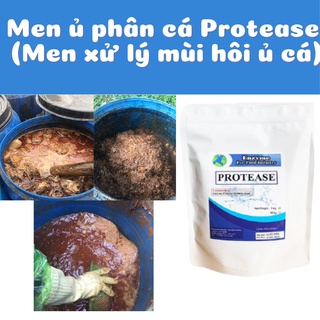 Enzyme Ủ Phân Cá Đậm Đặc Protease Gói 1 Kg