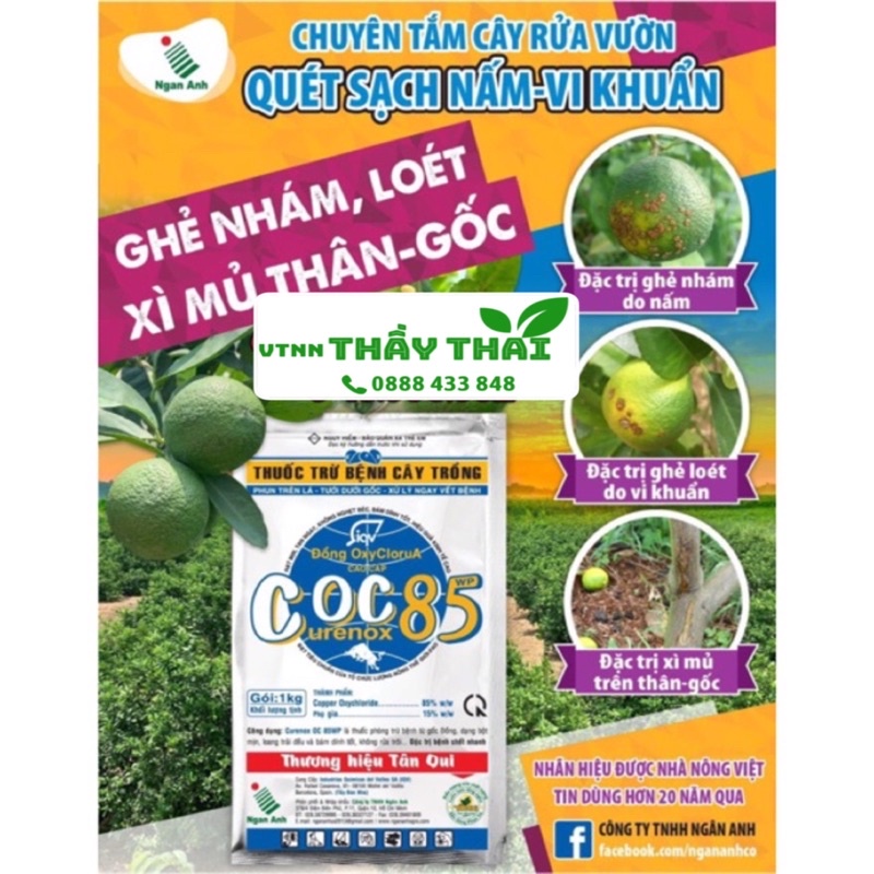 Coc 85wp 1kg TânQuy Thuốc trừ bệnh cho hoa lan, hoa mai-thán thư,sương mai, ghẻ trái, Ghẻ lá