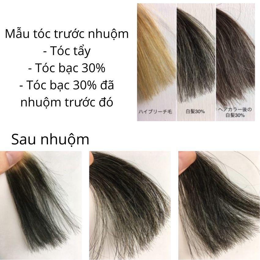 [Hàng Nhật chính hãng] Nhuộm Tóc Phủ Bạc Cho Nam Giới Màu Đen Nhật Bản