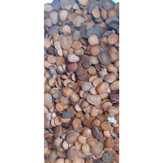Hạt giống móng bò