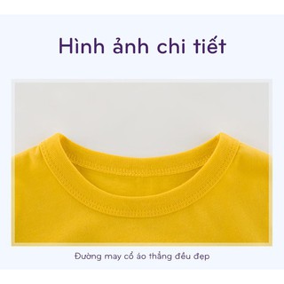ÁO THUN COTTON AT03