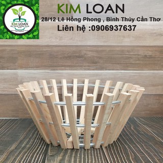 Combo 4 chậu lan tròn gỗ vũ sữa 27x13cm