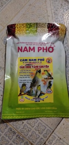 Số 2 Cám Vành Khuyên Nam Phở ( thi đấu)