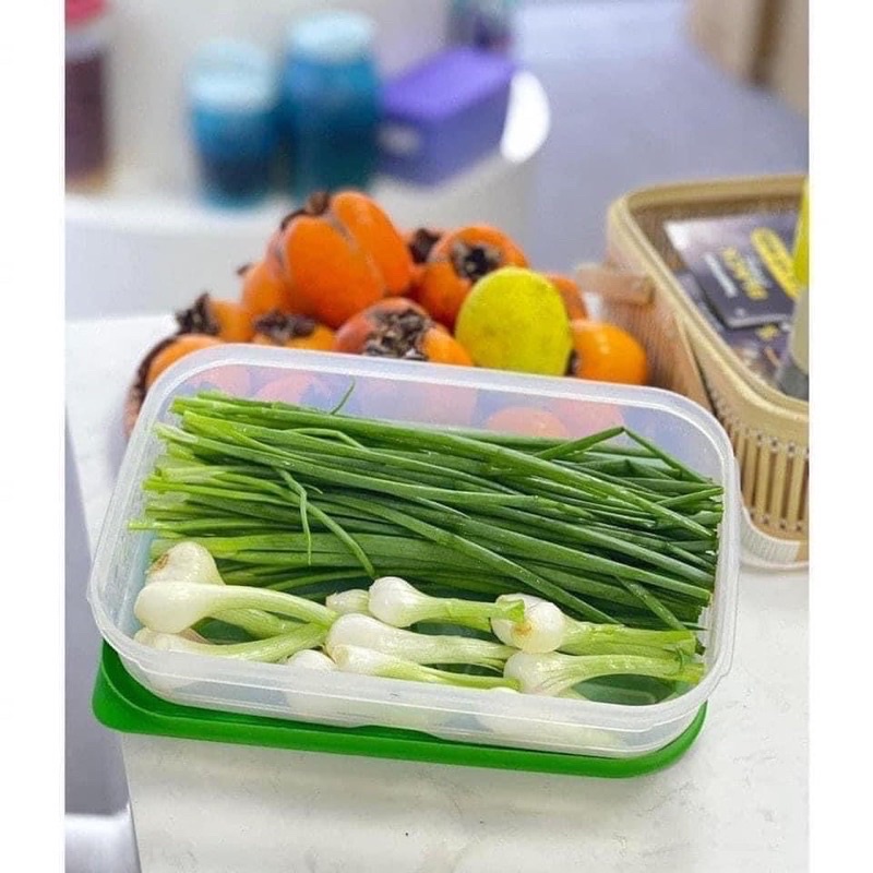 Hộp vent Tup Việt