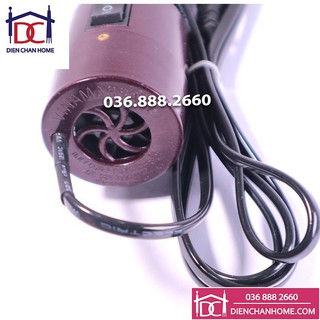 Ngải cứu điện Diện Chẩn